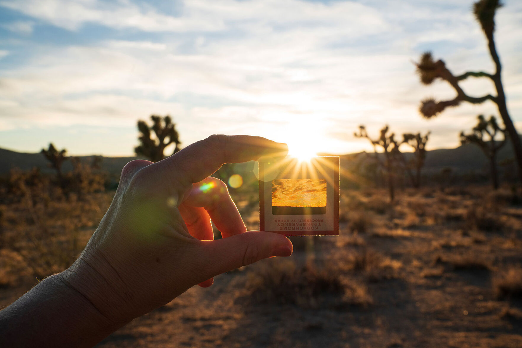 artSearching-for-a-perfect-sunset_Perfect-Memory.jpg